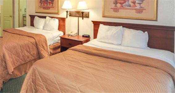 Economy Hotel Марієтта Номер фото